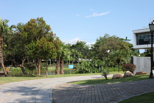 户外静谧园林景观小路