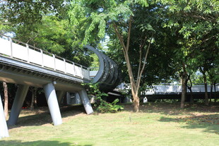 户外草地旁的弧形木质廊架