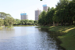 城市河畔绿树环绕美景