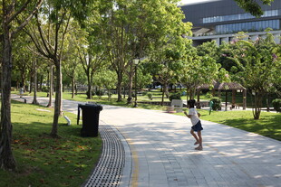 公园小道上的骑行者