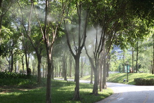 林间喷雾营造清凉景致