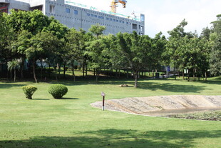 城市中的绿意草坪景观