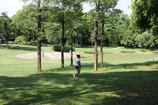 公园绿荫下的休闲场景