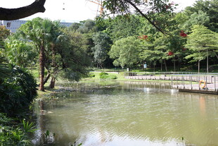 宁静湖畔的自然景致