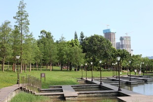 城市公园湖畔休闲景致