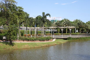 湖畔绿荫环绕的休闲景致