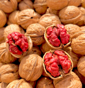红皮核桃