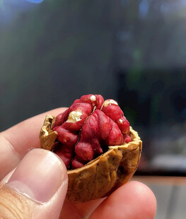 红皮核桃