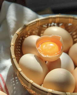 鸡蛋