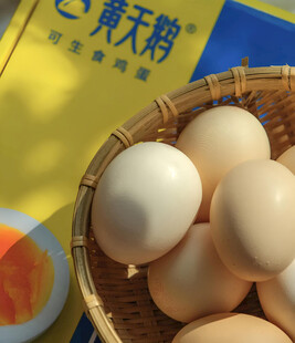 鸡蛋