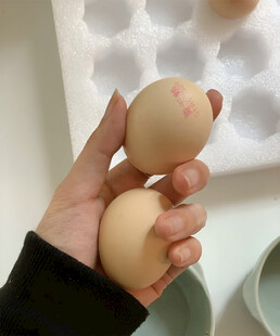 鸡蛋