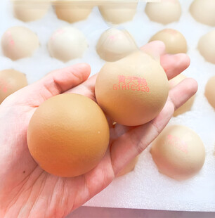 鸡蛋
