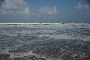 海浪翻涌的壮阔海滨景象