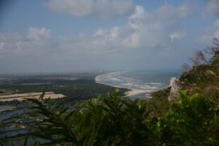 俯瞰海岸与葱郁植被