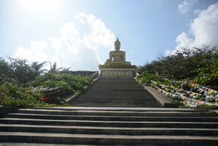 通往佛像的阶梯景观