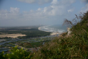 俯瞰海岸线与繁茂植被