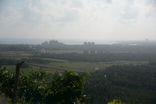 俯瞰绿意盎然的开阔景致