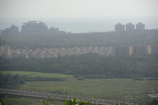 雾中城市与绿地景观