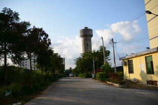 乡村路旁的水塔与建筑