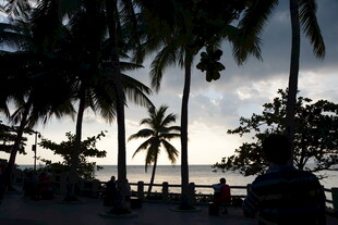 黄昏下的椰林海滨风光