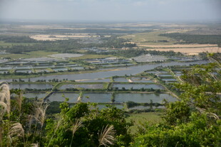 俯瞰水乡田园风光