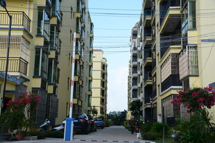 居民楼间的宁静巷道