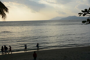 海边漫步的悠闲美好时刻