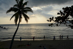 黄昏下的海边椰树美景