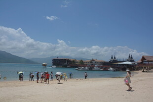 热闹的海滨沙滩场景