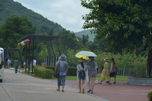 景区步道上的休闲人群