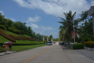 热带风光中的宽阔道路