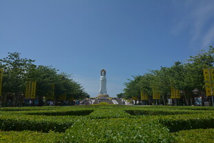 城市广场中的绿植与高塔景观