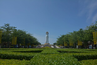 园林景观中的整齐绿植与高塔