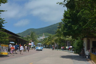 热闹的户外街道场景