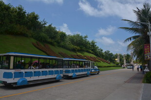 街道上的蓝白相间观光巴士