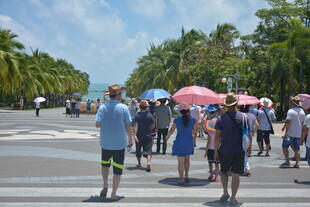 游客在热带街道排队等候