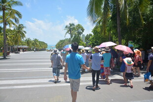 海滨街道行人撑伞漫步