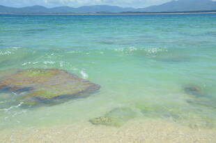 清澈海水中的礁石