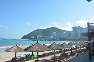 海滨沙滩遮阳伞风景