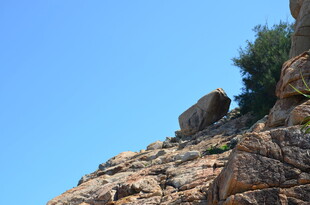 嶙峋山石与崖边绿植