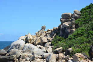 海边嶙峋岩石与绿植景观