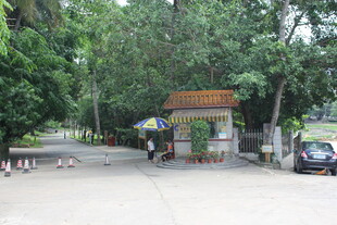 林荫下的入口场景