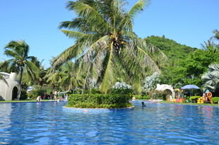 热带泳池边的惬意风光