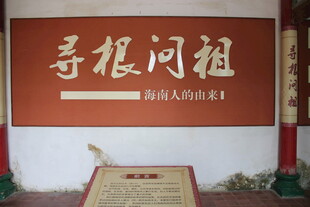 寻根问祖展示区
