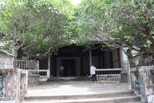 古树下的静谧小屋