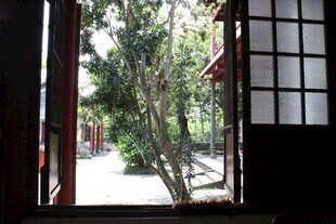 透过门窗望庭院绿植