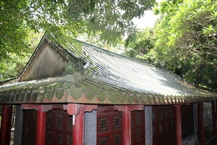 古雅红亭隐于葱郁林间