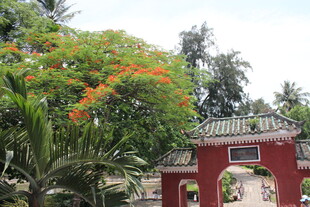 中式拱门旁繁茂绿植景观