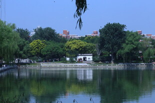 公园风景 
