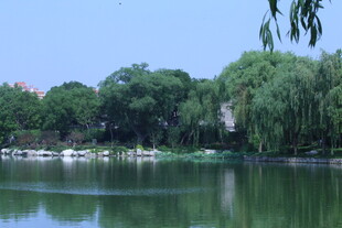 公园风景 